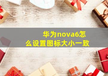 华为nova6怎么设置图标大小一致