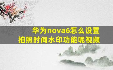 华为nova6怎么设置拍照时间水印功能呢视频