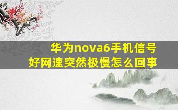 华为nova6手机信号好网速突然极慢怎么回事