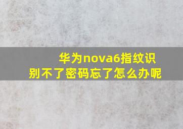 华为nova6指纹识别不了密码忘了怎么办呢