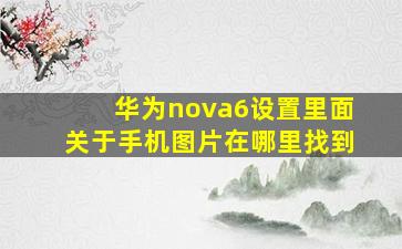 华为nova6设置里面关于手机图片在哪里找到