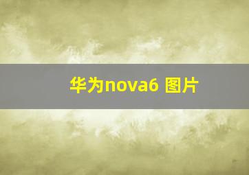 华为nova6 图片