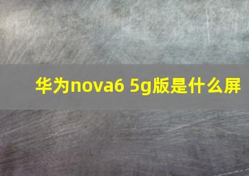 华为nova6 5g版是什么屏