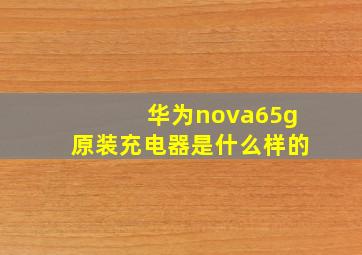 华为nova65g原装充电器是什么样的