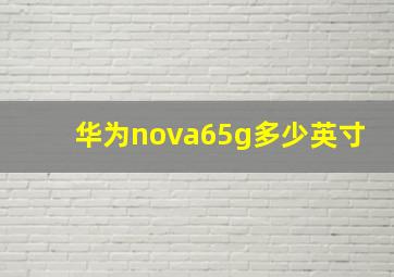 华为nova65g多少英寸