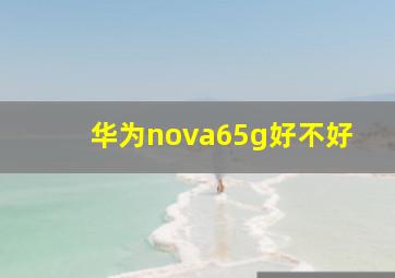 华为nova65g好不好