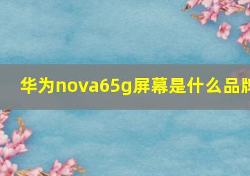 华为nova65g屏幕是什么品牌