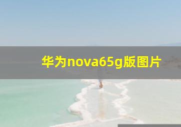 华为nova65g版图片