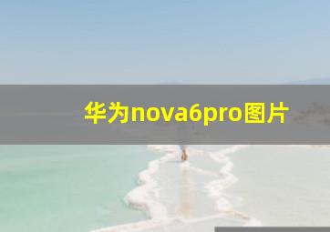 华为nova6pro图片