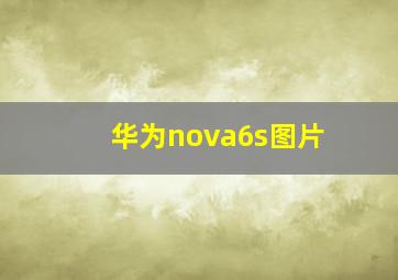 华为nova6s图片