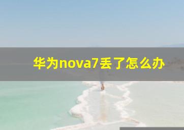 华为nova7丢了怎么办