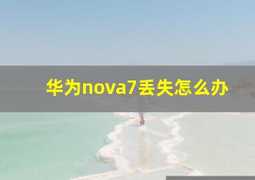 华为nova7丢失怎么办