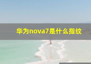 华为nova7是什么指纹