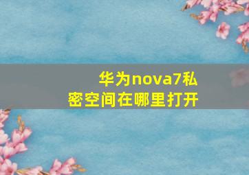 华为nova7私密空间在哪里打开