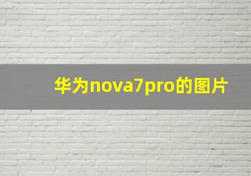 华为nova7pro的图片