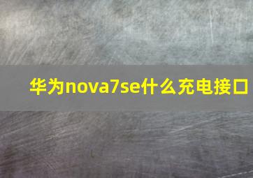 华为nova7se什么充电接口