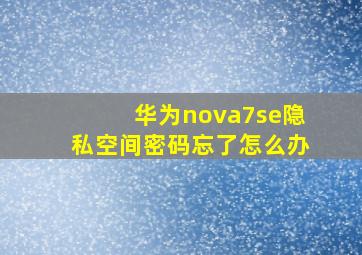 华为nova7se隐私空间密码忘了怎么办