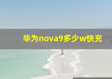 华为nova9多少w快充