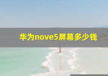 华为nove5屏幕多少钱