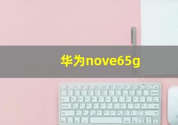 华为nove65g