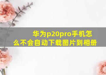 华为p20pro手机怎么不会自动下载图片到相册