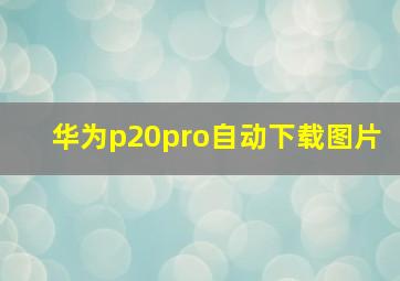 华为p20pro自动下载图片