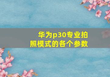 华为p30专业拍照模式的各个参数