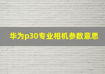 华为p30专业相机参数意思