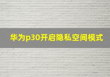 华为p30开启隐私空间模式