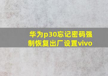 华为p30忘记密码强制恢复出厂设置vivo