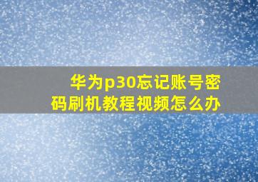 华为p30忘记账号密码刷机教程视频怎么办