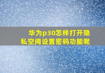 华为p30怎样打开隐私空间设置密码功能呢