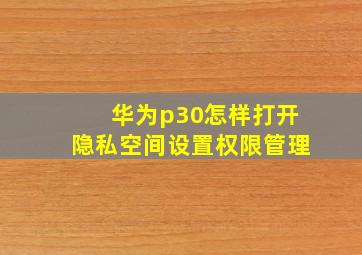 华为p30怎样打开隐私空间设置权限管理