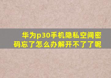 华为p30手机隐私空间密码忘了怎么办解开不了了呢