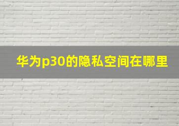 华为p30的隐私空间在哪里