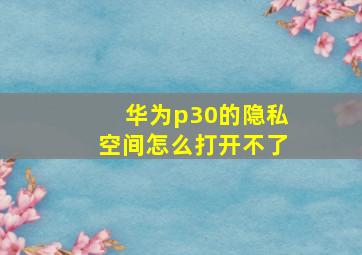 华为p30的隐私空间怎么打开不了