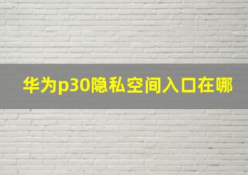 华为p30隐私空间入口在哪