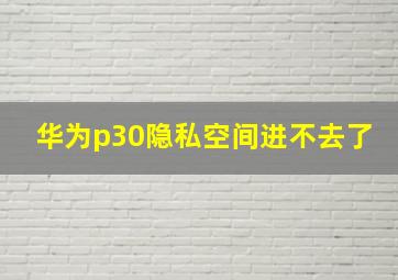 华为p30隐私空间进不去了