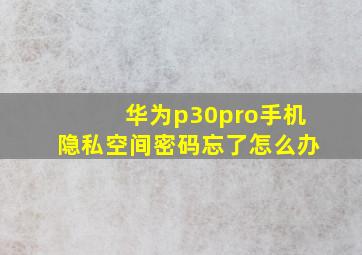 华为p30pro手机隐私空间密码忘了怎么办