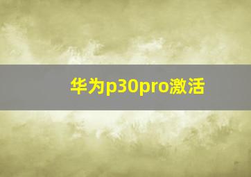 华为p30pro激活