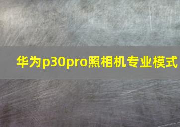 华为p30pro照相机专业模式