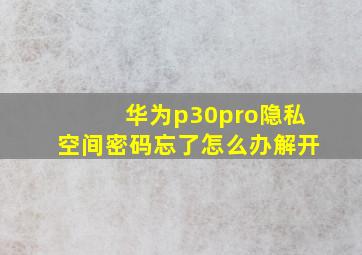 华为p30pro隐私空间密码忘了怎么办解开