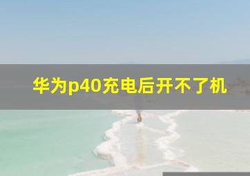 华为p40充电后开不了机