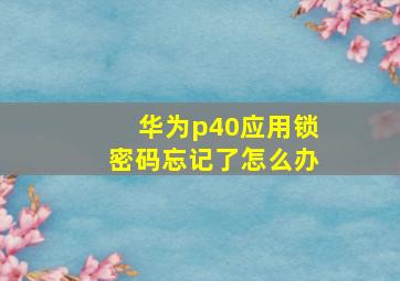 华为p40应用锁密码忘记了怎么办