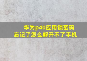 华为p40应用锁密码忘记了怎么解开不了手机