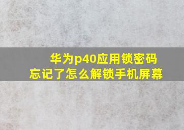 华为p40应用锁密码忘记了怎么解锁手机屏幕