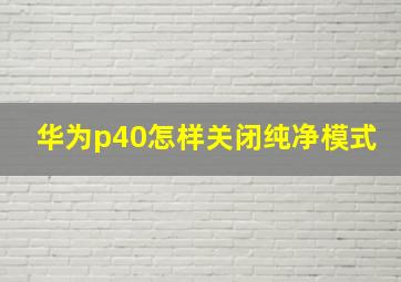 华为p40怎样关闭纯净模式