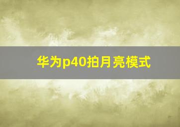 华为p40拍月亮模式