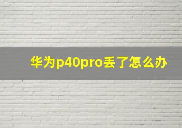 华为p40pro丢了怎么办