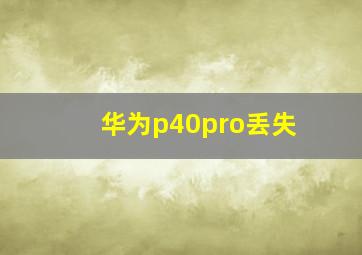 华为p40pro丢失